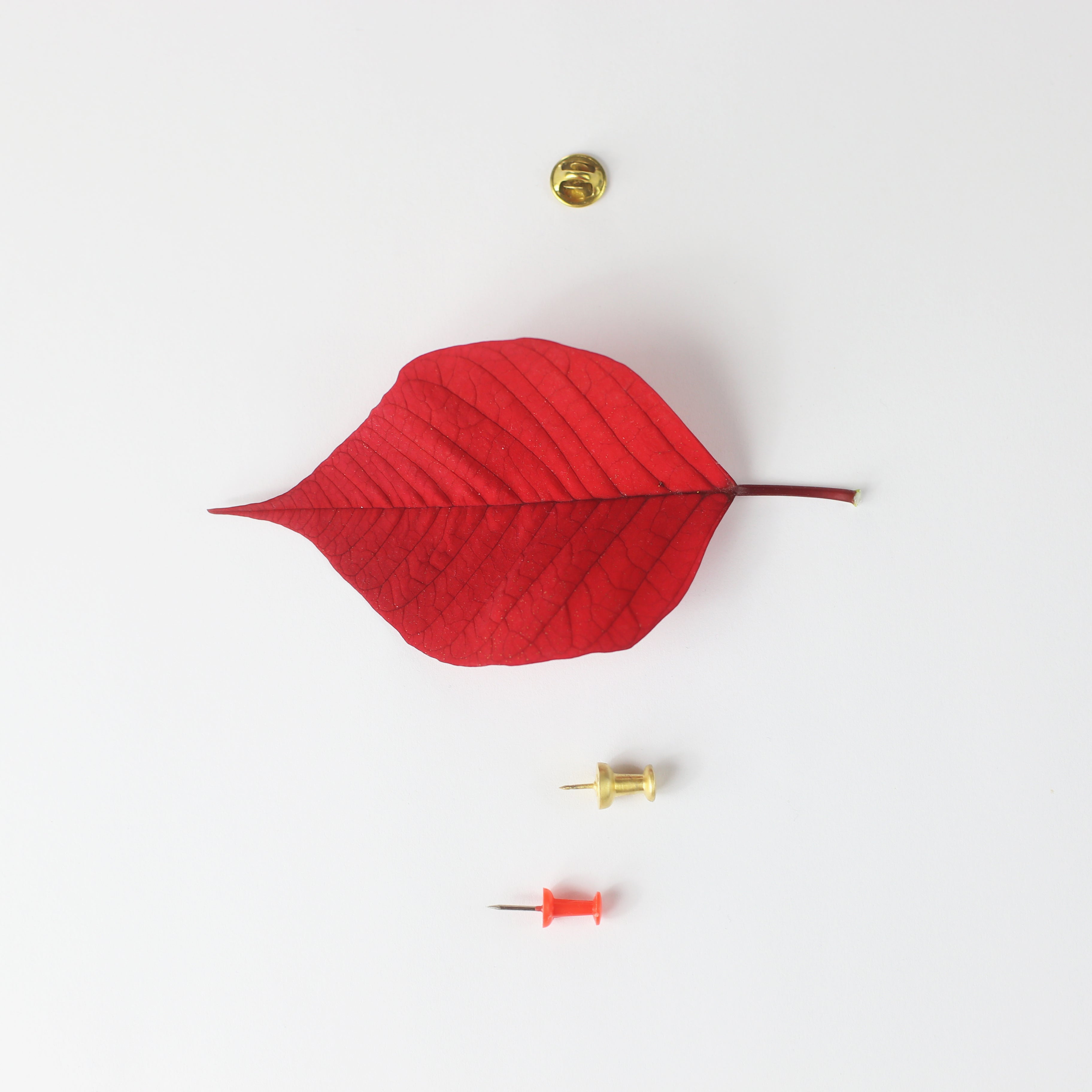 Brass Push Pin Brooch for Men or Women